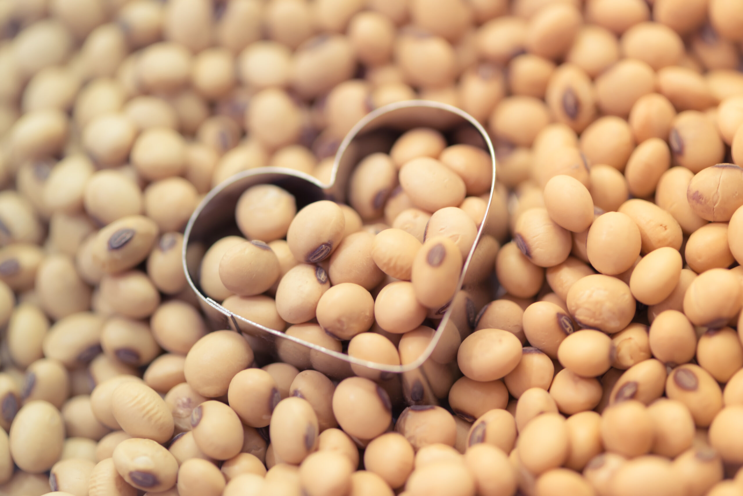 Soy protein helps lower bad cholesterol a small but important
