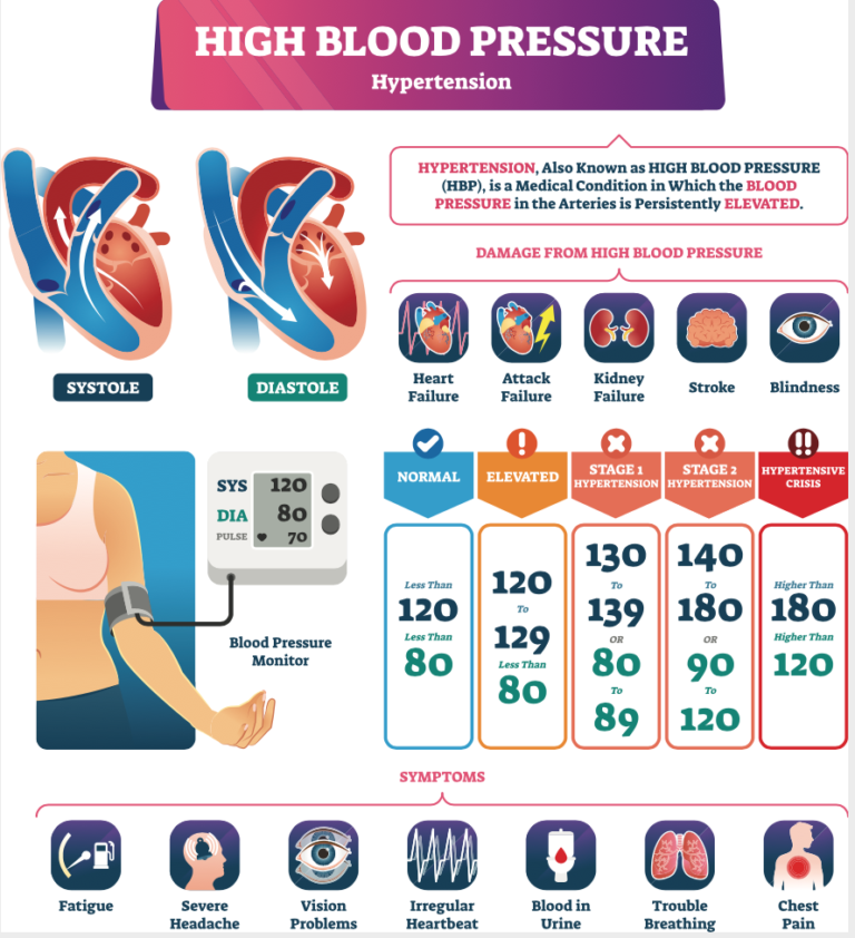 what-are-the-best-supplements-for-high-blood-pressure-showit-blog