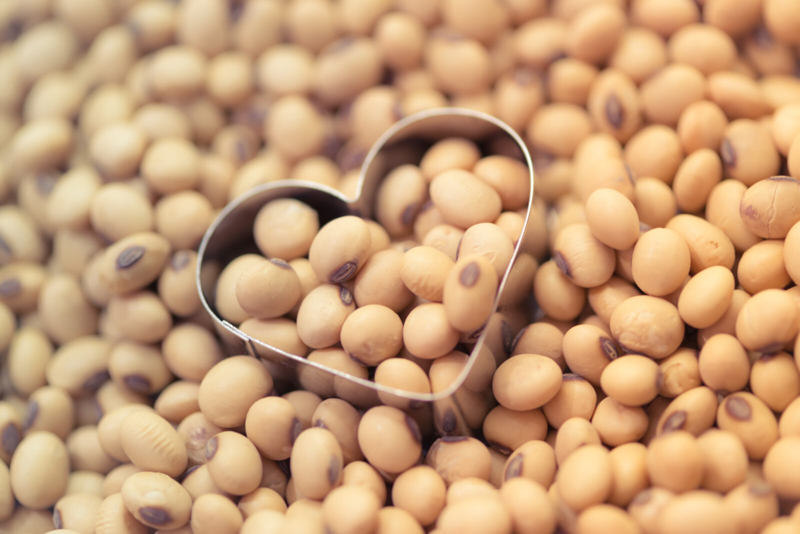 Soy and Heart Health Showit Blog