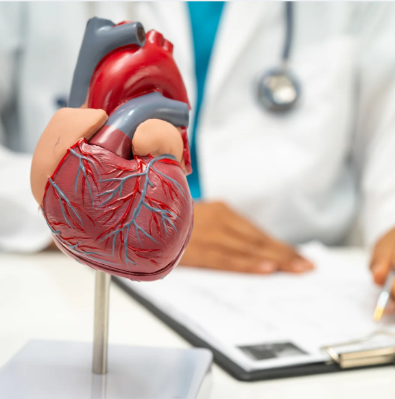 image of heart, featured on a blog about heart disease treatment